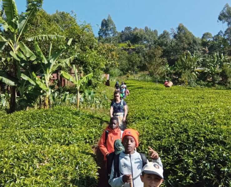 Class trip Aberdares Lycée français International Bilingual Nairobi Kenya